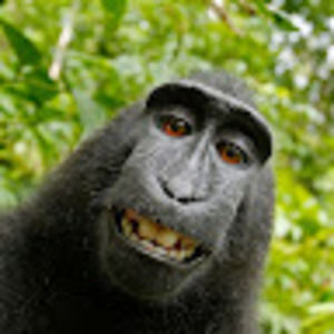 Meet your Posher, Cavey001